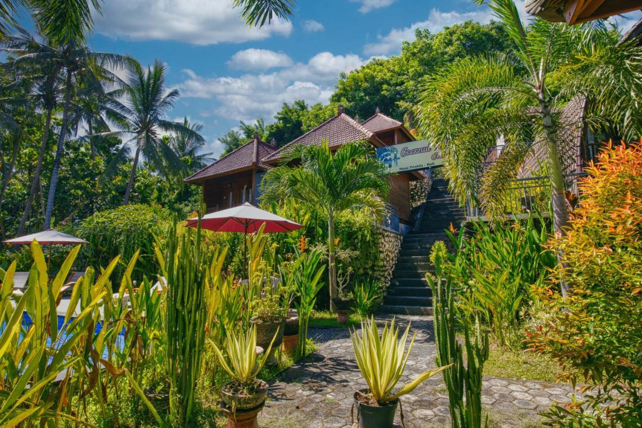 Coconut Hill Cottage Batununggul المظهر الخارجي الصورة